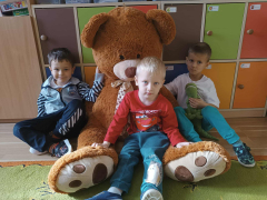 miś14