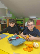 owoce4