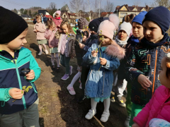 wiosna17